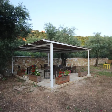 Alyvia Lodge Himare