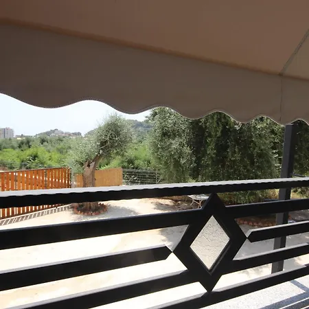 Alyvia Lodge *