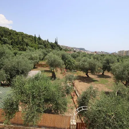 Alyvia Lodge Himare